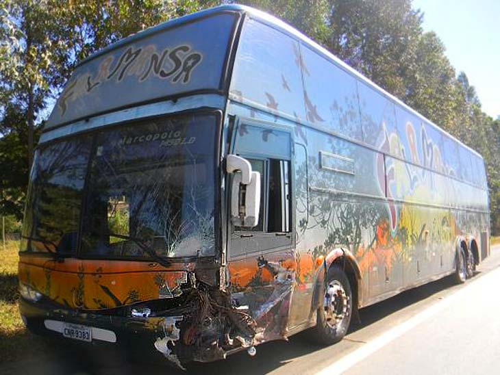 &Ocirc;nibus do Falamansa