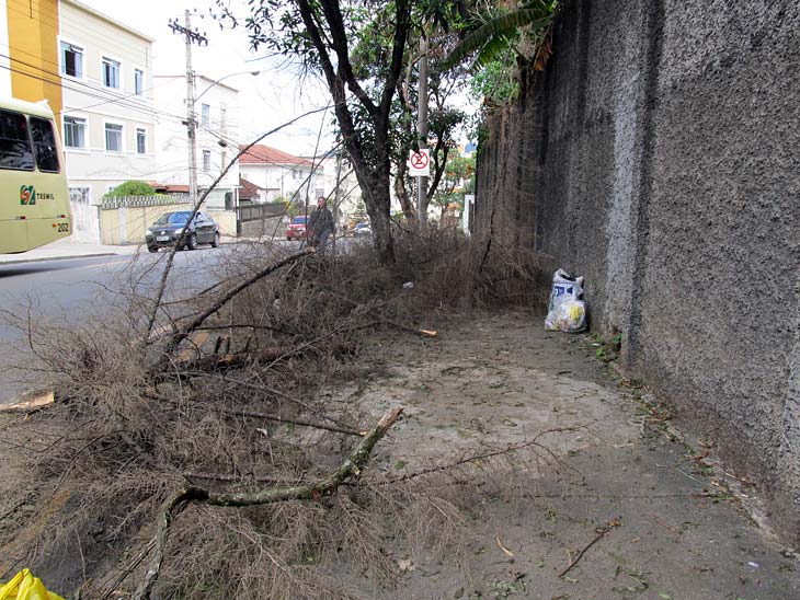 Galhos na Avenida Olegário Maciel