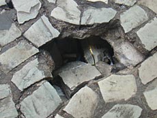 Buraco na São João