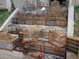 Foto: PM Material apreendido