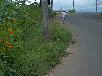 Rua Cirene Alves da Silva - Arco-íris