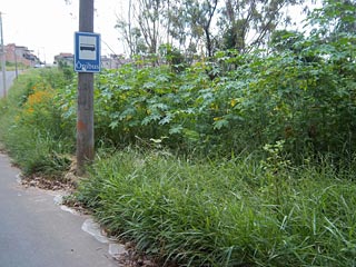 Rua Cirene Alves da Silva - Arco-íris