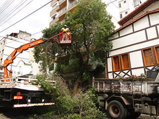 Após a queda de uma árvore na rua Oscar Vidal, no Centro de JF, funcionários da Empav realizaram a pode de outra árvore Empav