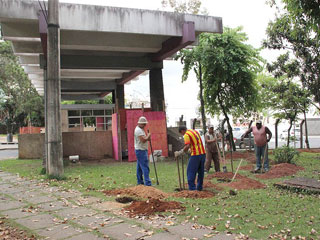 Foto: Arquivo ACESSA.com