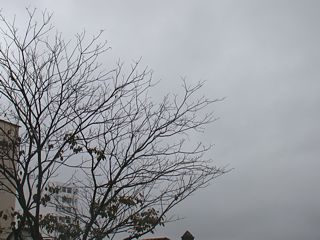 Foto: ACESSA.com Tempo