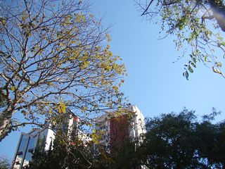 Foto: ACESSA.com Tempo JF