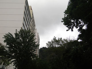 Foto: ACESSA.com inverno