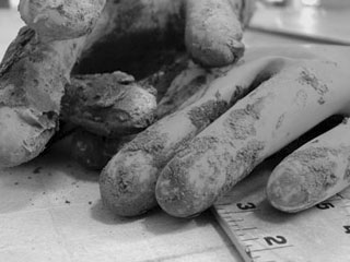 Constru&ccedil;&atilde;o