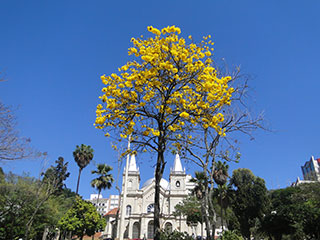 Foto: ACESSA.com Tempo JF