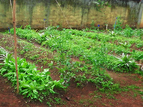 Foto: Divulgação Cumbiu