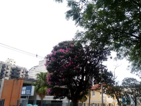 Foto: ACESSA.com/Igo Araújo tempo