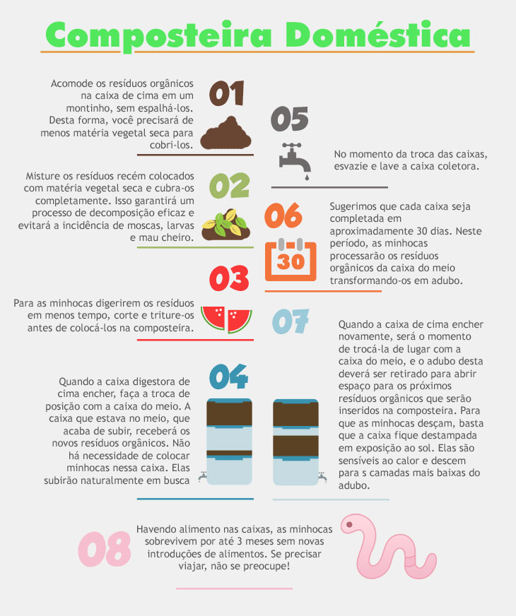 Foto: Divulgação foto