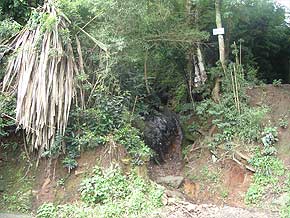 ACESSA.com Foto da rua Constantino Paleta