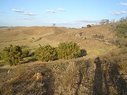 Foto da ?rea de Filgueiras