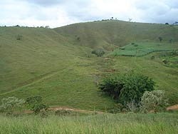 Foto da ?rea de Ponte Preta