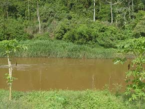 Foto de uma mancha de ?leo no rio