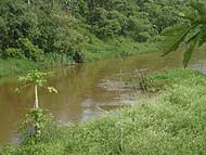 Foto de uma mancha de ?leo no rio