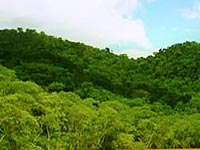 foto de Sarah Boccanera