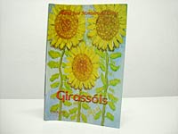 Foto da capa do
livro Girass?is