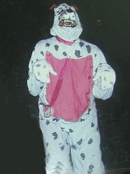 Foto da cachorra S?lvia - personagem de Neli Aquino