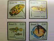 Foto de selos