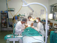 Atendimento odontol&oacute;gico