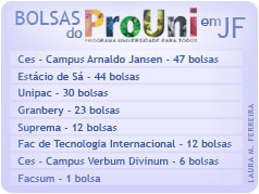 Ilustra??o: Laura Martins Ferreira. Ilustra??o com dados de distribui??o de bolsas do Prouni