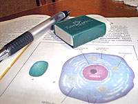 Foto de livro, lapiseira e borracha