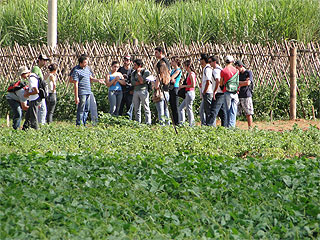 Aula prática do curso de agronomia - plantio de tomate