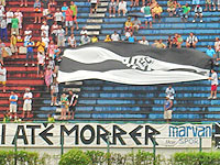 Imagem de torcida com bandeira