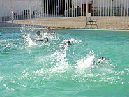 foto de crian?as nadando