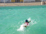 foto de crian?as nadando