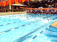 Foto de atletas nadando