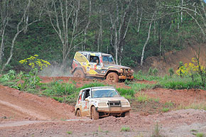 Rally