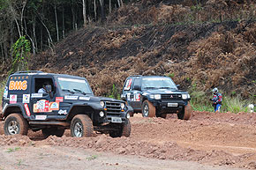 Divulgação Rally