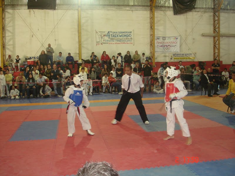 Foto: Liga de Taekwondo de Juiz de Fora Atletas disputando taekwondo
