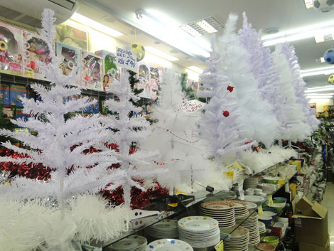 Foto: ACESSA.com árvores