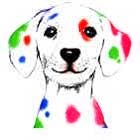 Foto da veterin?ria Edmeia