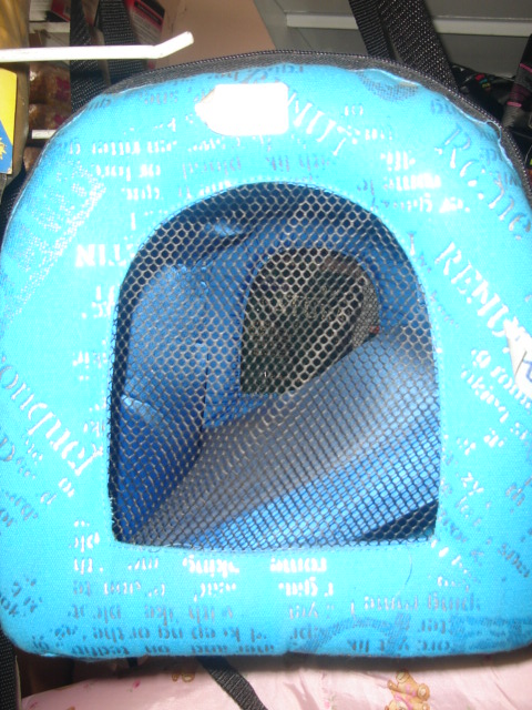 Foto de casinha azul