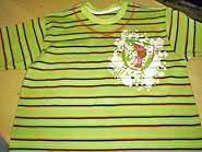 foto de uma camisa listrada de verde e silk radical