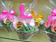 Foto de vaso
de chocolate com flor