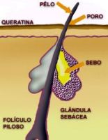 Foto: site www.saudetotal.com.br/acne/acne/formacao.asp