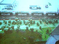 foto do projeto virtual da ?rea contru?da da nova Base de
distribui??o