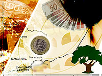 dinheiro e &aacute;rvore