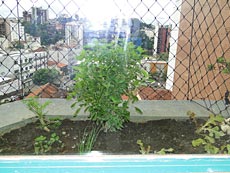 Foto: Fernando Agra Horta