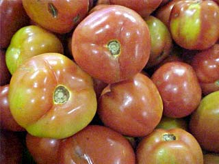 Tomate