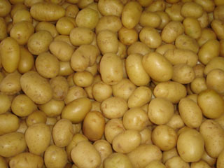 batata