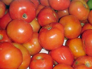 Tomate