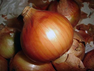 Foto de cebola