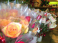 Foto de bot?es de rosas